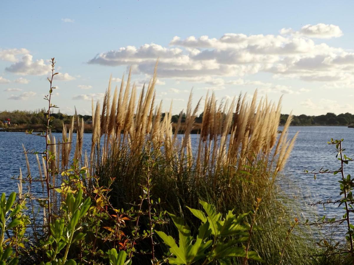 Les Rives Du Lac Le Grau-du-Roi Exterior foto